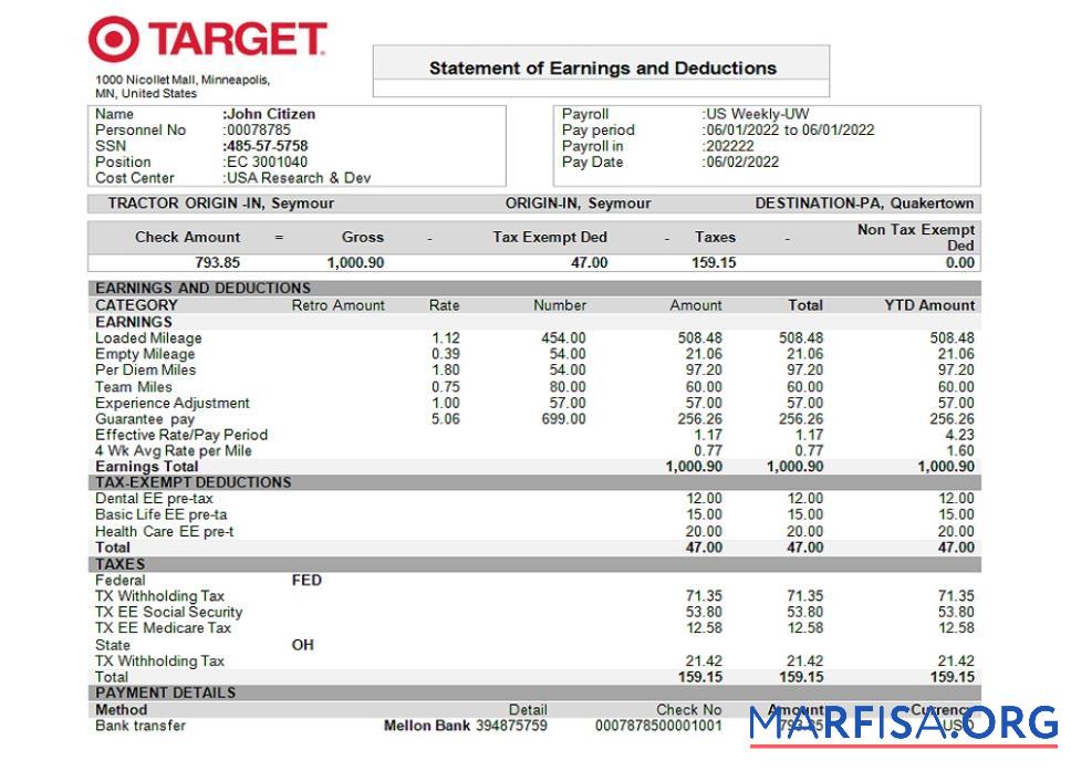 Blank USA Target retail company pay stub template